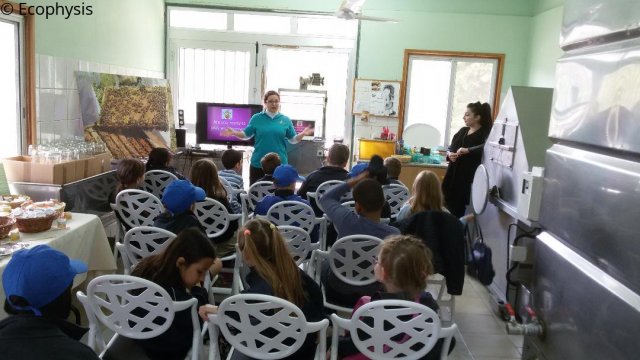 school_bees lecture3